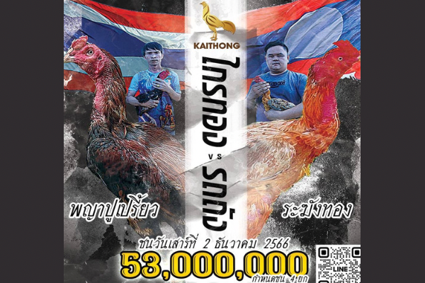 ไก่ชนเงินล้าน คู่ประวัติศาสตร์ ไทย-ลาว ชิง 53,000,000 บาท 