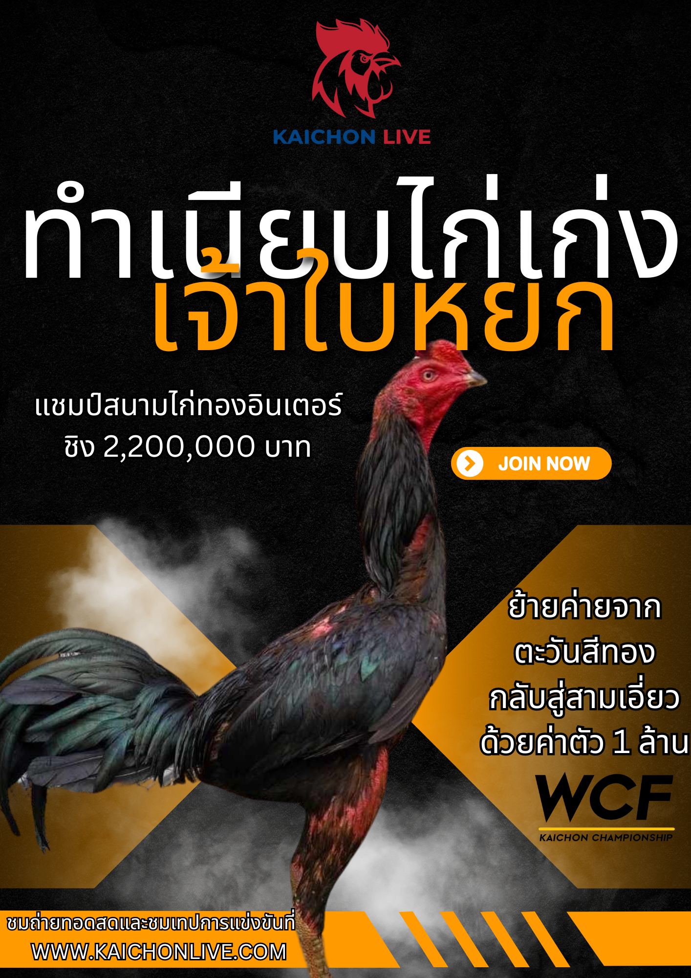 ทำเนียบไก่เก่ง 2567 เจ้าใบหยก ซุ้มตะวันสีทอง แชมป์ไก่ทอง ย้ายด้วยค่าตัว 1 ล้านบาท สู่สามเอี่ยว