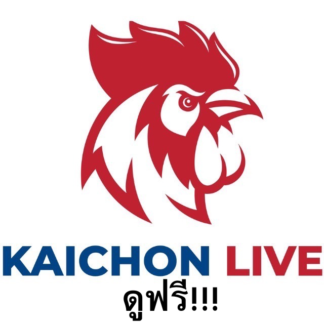 super fight kaichon